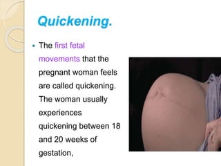 Quickening.
 The first fetal
movements that the
pregnant woman feels
are called quickening.
The woman usually
experiences
quickening between 18
and 20 weeks of
gestation,
 