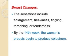 Breast Changes.
 The sensations include
enlargement, heaviness, tingling,
throbbing, or tenderness.
 By the 14th week, the woman’s
breasts begin to produce colostrum.
 
