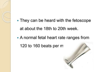 They can be heard with the fetoscope
at about the 18th to 20th week.
 A normal fetal heart rate ranges from
120 to 160 beats per minute.
 