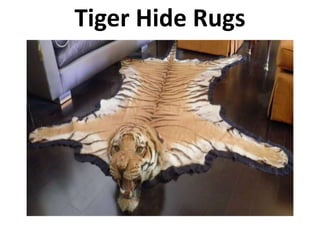 Tiger Hide Rugs
 