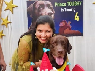 Toughy pawty