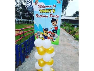 Toughy pawty
