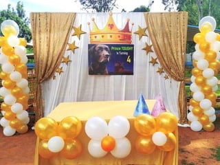 Evibe Pet Birthday party