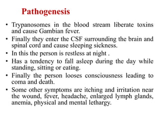 Pathogenesis
• Trypanosomes in the blood stream liberate toxins
and cause Gambian fever.
• Finally they enter the CSF surrounding the brain and
spinal cord and cause sleeping sickness.
• In this the person is restless at night .
• Has a tendency to fall asleep during the day while
standing, sitting or eating.
• Finally the person looses consciousness leading to
coma and death.
• Some other symptoms are itching and irritation near
the wound, fever, headache, enlarged lymph glands,
anemia, physical and mental lethargy.
 
