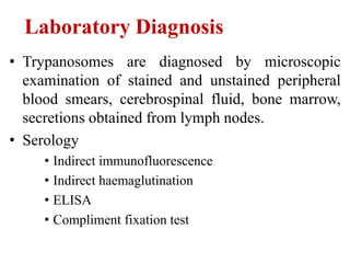 Laboratory Diagnosis
• Trypanosomes are diagnosed by microscopic
examination of stained and unstained peripheral
blood smears, cerebrospinal fluid, bone marrow,
secretions obtained from lymph nodes.
• Serology
• Indirect immunofluorescence
• Indirect haemaglutination
• ELISA
• Compliment fixation test
 