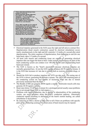 12
 Electrical impulses generated in the SAN cause the right and left atria to contract first.
Depolarization (heart muscle contraction caused by electrical stimulation) occurs
nearly simultaneously in the right and left ventricles 1-2 tenths of a second after atrial
depolarization. The entire sequence of depolarization, from beginning to end (for one
heart beat), takes 2-3 tenths of a second.
 All heart cells muscle and conducting tissue are capable of generating electrical
impulses that can trigger the heart to beat. Under normal circumstances all parts of the
heart conducting system can conduct over 140-200 signals (and corresponding heart
beats) per minute.
 The SAN is known as the "heart's pacemaker" because electrical impulses are
normally generated here. At rest the SAN usually produces 60-70 signals a minute. It
is the SAN that increases its' rate due to stimuli such as exercise, stimulant drugs, or
fever.
 Should the SAN fail to produce impulses the AVN can take over. The resting rate of
the AVN is slower, generating 40-60 beats a minute. The AVN and remaining parts of
the conducting system are less capable of increasing heart rate due to stimuli
previously mentioned than the SAN.
 The Bundle of HIS can generate 30-40 signals a minute. Ventricular muscle cells may
generate 20-30 signals a minute.
 Heart rates below 35-40 beats a minute for a prolonged period usually cause problems
due to not enough blood flow to vital organs.
 Problems with signal conduction, due to disease or abnormalities of the conducting
system, can occur anyplace along the heart's conduction pathway. Abnormally
conducted signals, resulting in alterations of the heart's normal beating, are called
arrhythmias or dysrrythmia.
 By analyzing an EKG a doctor is often able to tell if there are problems with specific
parts of the conducting system or if certain areas of heart muscle may be injured.
DR.
NAITIK
TRIVEDI&
DR.
UPAMA
TRIVEDI
 