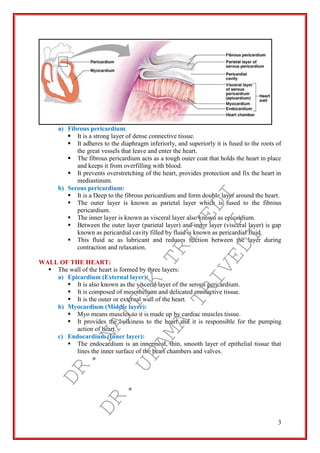 3
a) Fibrous pericardium:
 It is a strong layer of dense connective tissue.
 It adheres to the diaphragm inferiorly, and superiorly it is fused to the roots of
the great vessels that leave and enter the heart.
 The fibrous pericardium acts as a tough outer coat that holds the heart in place
and keeps it from overfilling with blood.
 It prevents overstretching of the heart, provides protection and fix the heart in
mediastinum.
b) Serous pericardium:
 It is a Deep to the fibrous pericardium and form double layer around the heart.
 The outer layer is known as parietal layer which is fused to the fibrous
pericardium.
 The inner layer is known as visceral layer also known as epicardium.
 Between the outer layer (parietal layer) and inner layer (visceral layer) is gap
known as pericardial cavity filled by fluid is known as pericardial fluid.
 This fluid ac as lubricant and reduces friction between the layer during
contraction and relaxation.
WALL OF THE HEART:
 The wall of the heart is formed by three layers:
a) Epicardium (External layer):
 It is also known as the visceral layer of the serous pericardium.
 It is composed of mesothelium and delicated connective tissue.
 It is the outer or external wall of the heart.
b) Myocardium (Middle layer):
 Myo means muscles so it is made up by cardiac muscles tissue.
 It provides the bulkiness to the heart and it is responsible for the pumping
action of heart.
c) Endocardium (Inner layer):
 The endocardium is an innermost, thin, smooth layer of epithelial tissue that
lines the inner surface of the heart chambers and valves.
DR.
NAITIK
TRIVEDI&
DR.
UPAMA
TRIVEDI
 