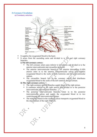 8
3) Coronary Circulation:
a) Coronary arteries:
 It supplies the oxygenated blood to the heart.
 It arises from the ascending aorta and divided in to left and right coronary
branches.
i) The left coronary artery:
 The left coronary artery pass inferior to left auricle and divided in to the
anterior interventricular and circumflex branches.
 The anterior interventricular branch or left anterior descending (LAD)
arteries enter in to the anterior interventricular sulcus and supplies
oxygenated blood to the walls of both ventricles and the interventricular
septum.
 The circumflex branch lies in the coronary sulcus and distributes
oxygenated blood to the walls of the left ventricle and left atrium.
ii) The right coronary artery:
 The right coronary arteries branches supply blood to the right atrium.
 It continues inferior to the right auricle and divided in to the posterior
interventricular and marginal branches.
 The posterior interventricular branches enter in to the posterior
interventricular sulcus and supply the oxygenated blood in to two
ventricles and the interventricular septum.
 The marginal branch in the coronary sulcus transports oxygenated blood to
the myocardium of the right ventricle.
DR.
NAITIK
TRIVEDI&
DR.
UPAMA
TRIVEDI
 