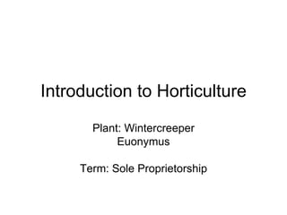 Introduction to Horticulture Plant: Wintercreeper Euonymus Term: Sole Proprietorship 