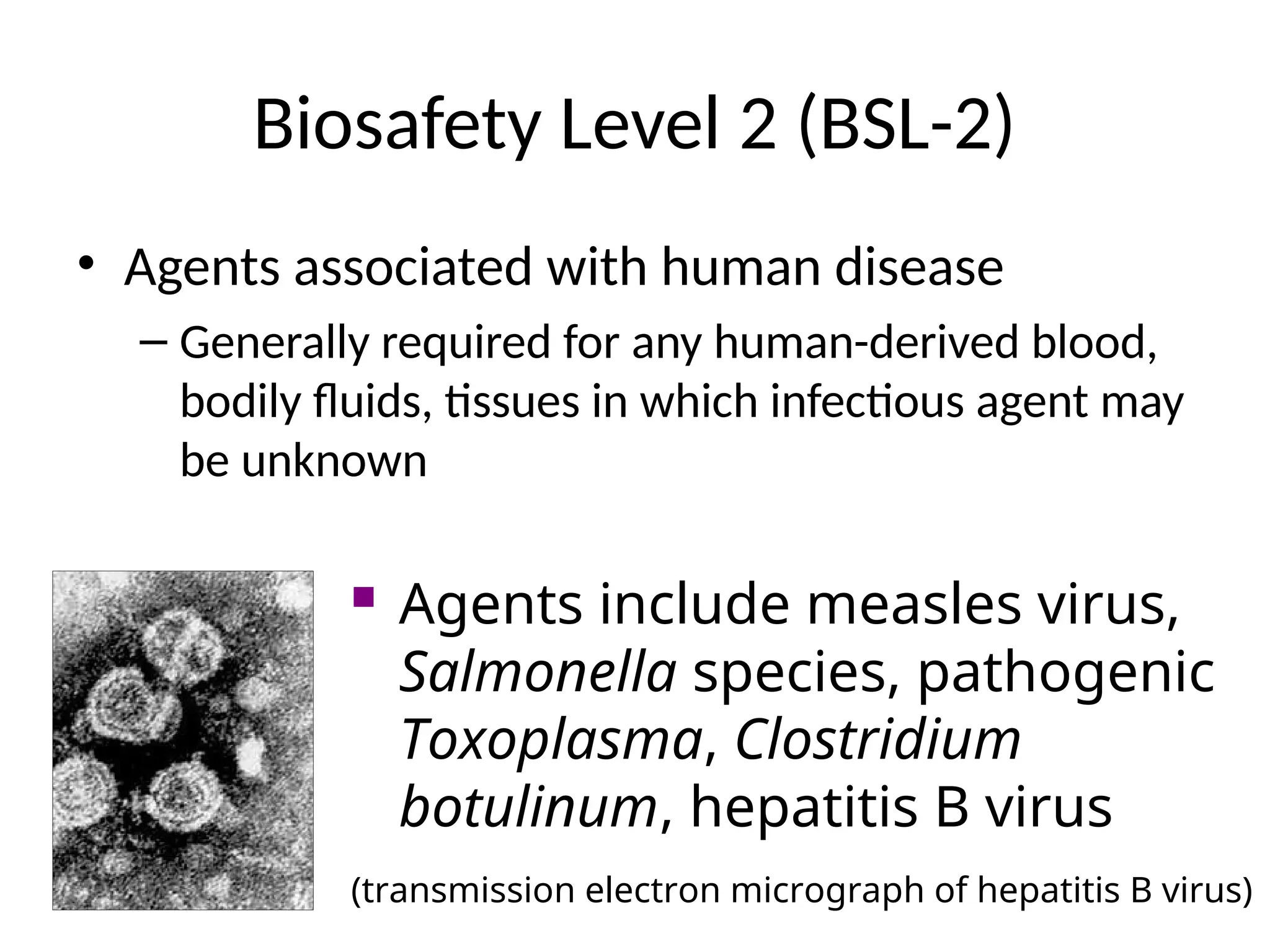 Biosafety Level 2 (BSL-2)
• Agents associated with human disease
– Generally required for any human-derived blood,
bodily fluids, tissues in which infectious agent may
be unknown
 Agents include measles virus,
Salmonella species, pathogenic
Toxoplasma, Clostridium
botulinum, hepatitis B virus
(transmission electron micrograph of hepatitis B virus)
 