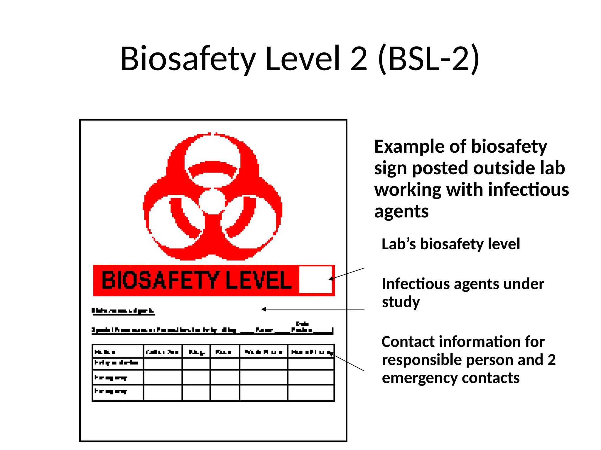 Biosafety Level 2 (BSL-2)
• Example of biosafety
sign posted outside lab
working with infectious
agents
Lab’s biosafety level
Infectious agents under
study
Contact information for
responsible person and 2
emergency contacts
 
