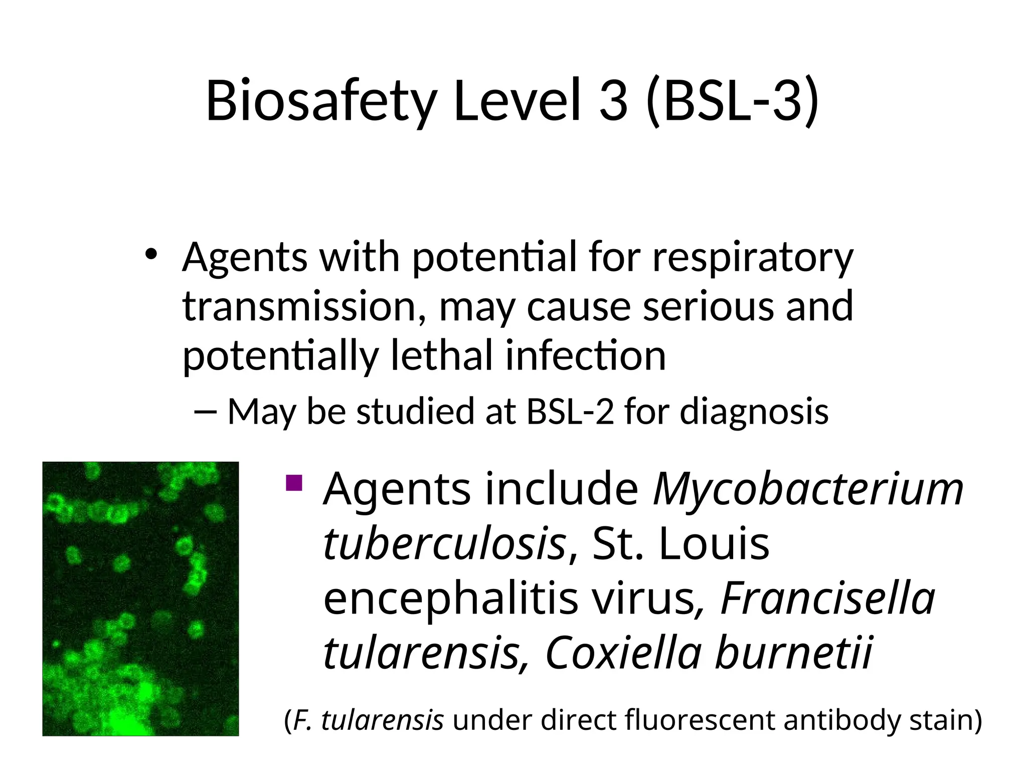 Biosafety Level 3 (BSL-3)
• Agents with potential for respiratory
transmission, may cause serious and
potentially lethal infection
– May be studied at BSL-2 for diagnosis
 Agents include Mycobacterium
tuberculosis, St. Louis
encephalitis virus, Francisella
tularensis, Coxiella burnetii
(F. tularensis under direct fluorescent antibody stain)
 