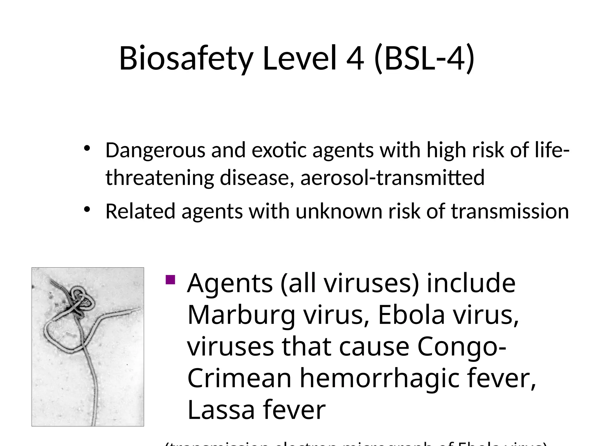 Biosafety Level 4 (BSL-4)
• Dangerous and exotic agents with high risk of life-
threatening disease, aerosol-transmitted
• Related agents with unknown risk of transmission
 Agents (all viruses) include
Marburg virus, Ebola virus,
viruses that cause Congo-
Crimean hemorrhagic fever,
Lassa fever
 