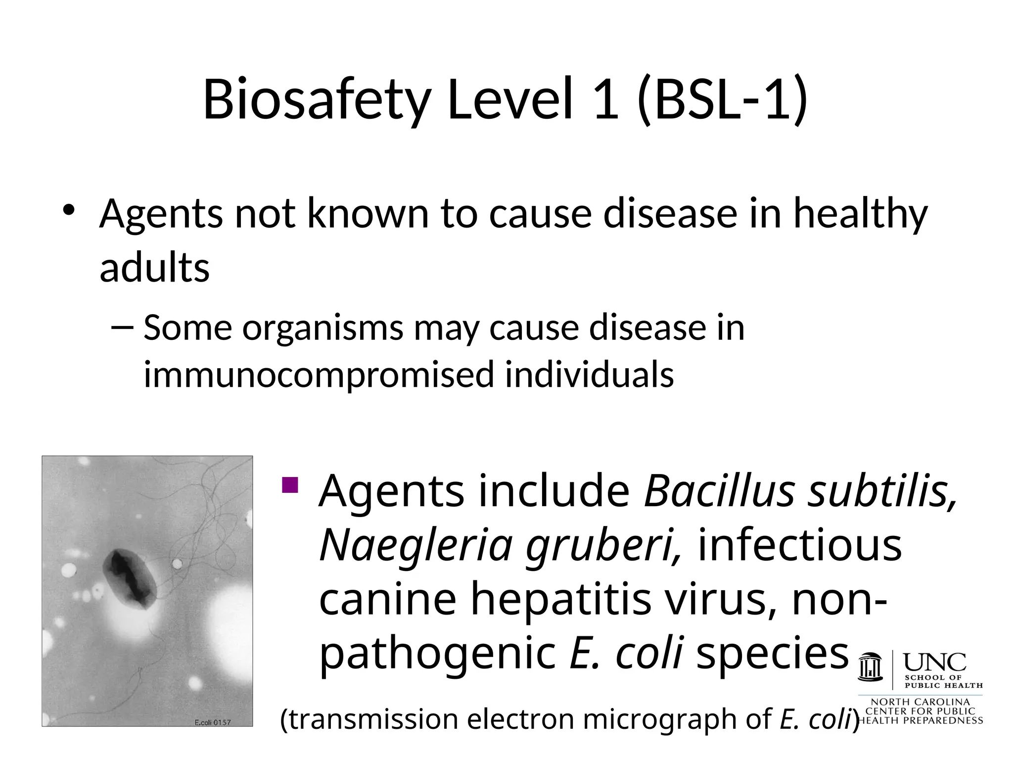 Biosafety Level 1 (BSL-1)
• Agents not known to cause disease in healthy
adults
– Some organisms may cause disease in
immunocompromised individuals
 Agents include Bacillus subtilis,
Naegleria gruberi, infectious
canine hepatitis virus, non-
pathogenic E. coli species
(transmission electron micrograph of E. coli)
 