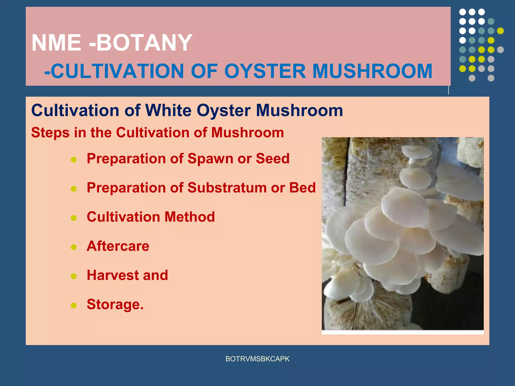 5 1 cultivation of oyster mushroom | PDF