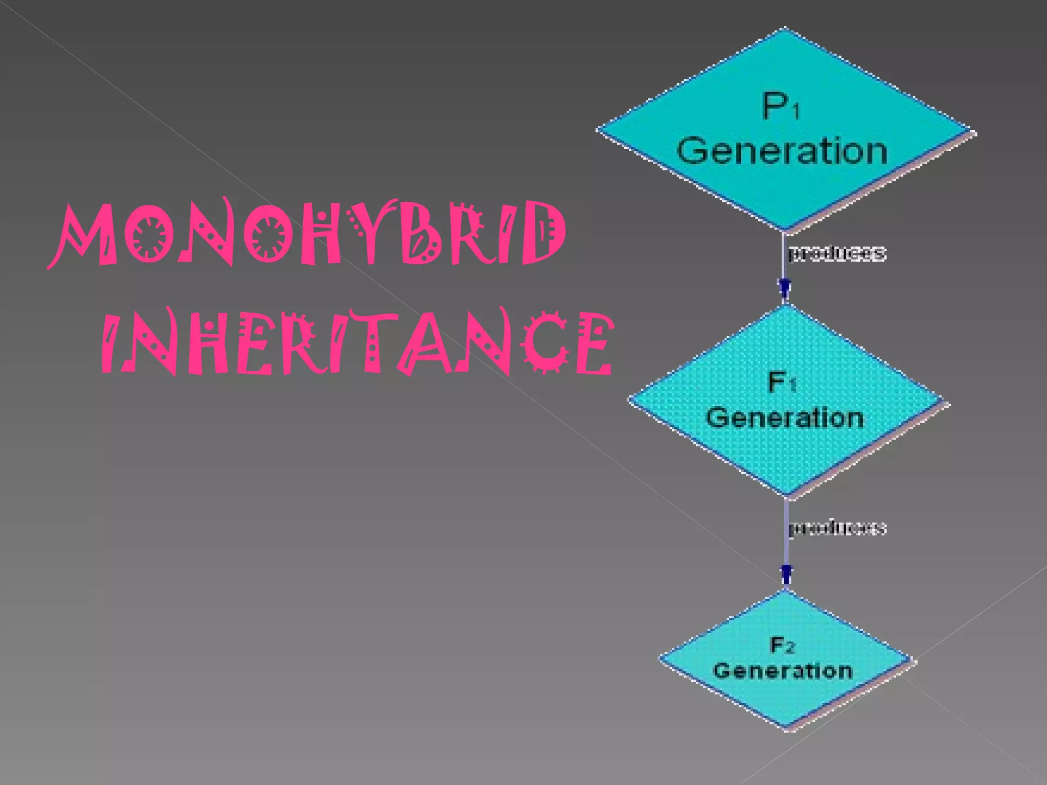 MONOHYBRID INHERITANCE 