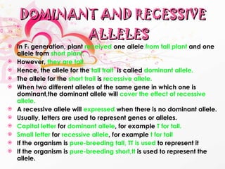 DOMINANT AND RECESSIVE ALLELES In F 1  generation, plant   received   one allele   from tall plant   and one allele from   short plant. However,   they are tall. Hence, the allele for the   tall trait   is called   dominant allele. The allele for the   short trail   is   recessive allele. When two different alleles of the same gene in which one is dominant,the dominant allele will   cover the effect of recessive allele. A recessive allele will   expressed   when there is no dominant allele. Usually, letters are used to represent genes or alleles. Capital letter  for  dominant allele , for example  T for tall. Small letter  for  recessive allele , for example  t for tall If the organism is  pure-breeding tall, TT is used  to represent it If the organism is  pure-breeding short,tt  is used to represent the allele. 