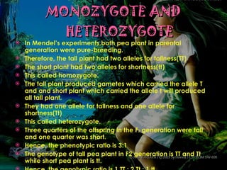 MONOZYGOTE AND HETEROZYGOTE In Mendel’s experiments,both pea plant in parental generation were pure-breeding. Therefore, the tall plant had two alleles for tallness(TT) The short plant had two alleles for shortness(tt) This called homozygote. The tall plant produced gametes which carried the allele T and and short plant which carried the allele t will produced all tall plant. They had one allele for tallness and one allele for shortness(Tt) This called heterozygote. Three quarters of the offspring in the F 2  generation were tall and one quarter was short. Hence, the phenotypic ratio is 3:1 The genotype of tall pea plant in F2 generation is TT and Tt while short pea plant is tt. Hence, the genotypic ratio is 1 TT : 2 Tt : 1 tt 