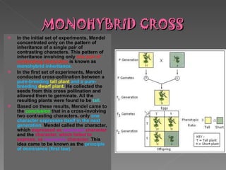 MONOHYBRID CROSS In the initial set of experiments, Mendel concentrated only on the pattern of inheritance of a single pair of contrasting characters. This pattern of inheritance involving only  one pair of contrasting characters  is known as  monohybrid inheritance. In the first set of experiments, Mendel conducted cross-pollination between a  pure-breeding  tall plant  and a pure-breeding  dwarf plant.  He collected the seeds from this cross pollination and allowed them to germinate. All the resulting plants were found to be  tall.   Based on these results, Mendel came to the  conclusion  that in a cross-involving two contrasting characters, only  one character expresses itself in the next generation.  Mendel called the character, which  expressed as  dominant  character  and the  character, which failed to express, as  recessive  character.  This idea came to be known as the  principle of dominance (first law).   