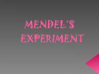 MENDEL’S   EXPERIMENT 