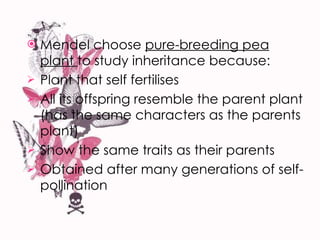 Mendel choose  pure-breeding pea plant  to study inheritance because: Plant that self fertilises All its offspring resemble the parent plant (has the same characters as the parents plant) Show the same traits as their parents Obtained after many generations of self-pollination 