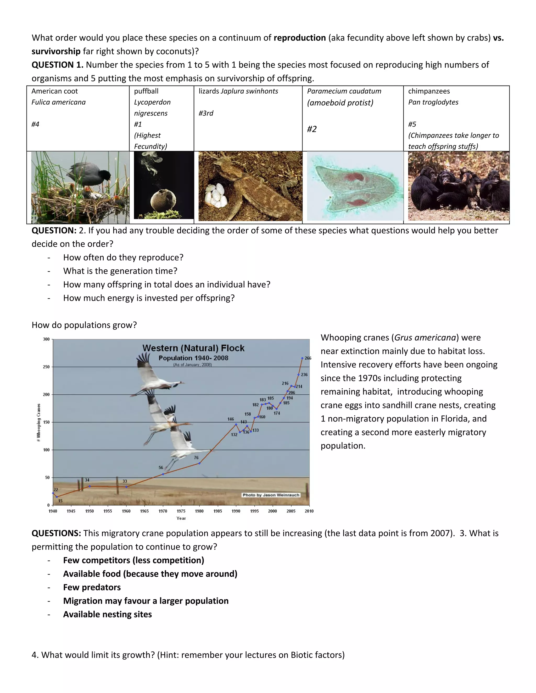 What order would you place these species on a continuum of reproduction (aka fecundity above left shown by crabs) vs.
survivorship far right shown by coconuts)?
QUESTION 1. Number the species from 1 to 5 with 1 being the species most focused on reproducing high numbers of
organisms and 5 putting the most emphasis on survivorship of offspring.
American coot             puffball        lizards Japlura swinhonts   Paramecium caudatum        chimpanzees
Fulica americana          Lycoperdon                                  (amoeboid protist)         Pan troglodytes
                          nigrescens      #3rd
#4                        #1                                                                     #5
                                                                      #2
                          (Highest                                                               (Chimpanzees take longer to
                          Fecundity)                                                             teach offspring stuffs)




QUESTION: 2. If you had any trouble deciding the order of some of these species what questions would help you better
decide on the order?
    - How often do they reproduce?
    - What is the generation time?
    - How many offspring in total does an individual have?
    - How much energy is invested per offspring?

How do populations grow?
                                                                           Whooping cranes (Grus americana) were
                                                                           near extinction mainly due to habitat loss.
                                                                           Intensive recovery efforts have been ongoing
                                                                           since the 1970s including protecting
                                                                           remaining habitat, introducing whooping
                                                                           crane eggs into sandhill crane nests, creating
                                                                           1 non-migratory population in Florida, and
                                                                           creating a second more easterly migratory
                                                                           population.




QUESTIONS: This migratory crane population appears to still be increasing (the last data point is from 2007). 3. What is
permitting the population to continue to grow?
   - Few competitors (less competition)
   - Available food (because they move around)
   - Few predators
   - Migration may favour a larger population
   - Available nesting sites



4. What would limit its growth? (Hint: remember your lectures on Biotic factors)
 