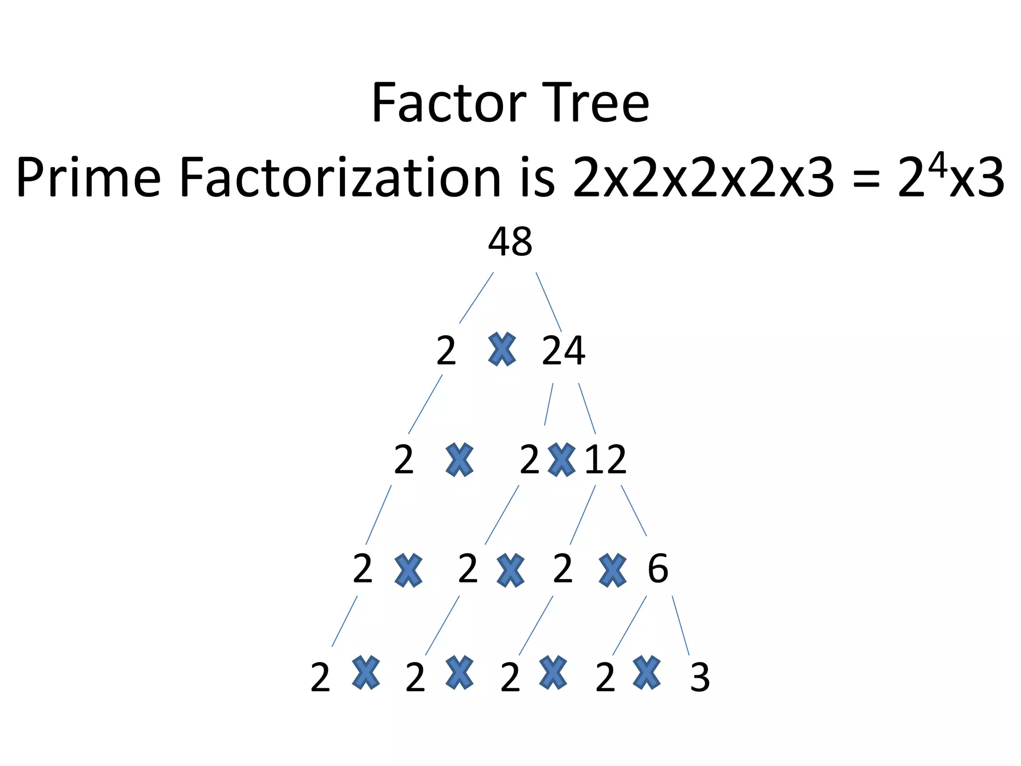 Factor Tree
Prime Factorization is 2x2x2x2x3 = 24x3
48
2 24
2 2 12
2 2 2 6
2 2 2 2 3
 