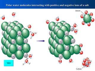 Polar water molecules interacting with positive and negative ions of a salt . 