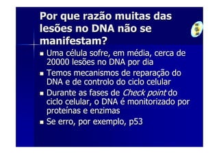 Por que razão muitas das
lesões no DNA não se
manifestam?
 Uma célula sofre, em média, cerca de
 20000 lesões no DNA por dia
 Temos mecanismos de reparação do
 DNA e de controlo do ciclo celular
 Durante as fases de Check point do
 ciclo celular, o DNA é monitorizado por
 proteínas e enzimas
 Se erro, por exemplo, p53
 