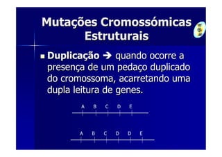 Mutações Cromossómicas
      Estruturais
Duplicação       quando ocorre a
presença de um pedaço duplicado
do cromossoma, acarretando uma
dupla leitura de genes.
       A   B   C   D   E




       A   B   C   D   D   E
 