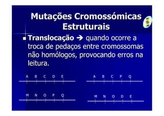 Mutações Cromossómicas
          Estruturais
Translocação      quando ocorre a
troca de pedaços entre cromossomas
não homólogos, provocando erros na
leitura.
A   B   C   D   E   A   B   C   P   Q




M   N   O   P   Q   M   N   O   D   E
 