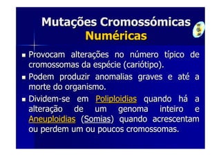 Mutações Cromossómicas
        Numéricas
Provocam alterações no número típico de
cromossomas da espécie (cariótipo).
Podem produzir anomalias graves e até a
morte do organismo.
Dividem-se em Poliploidias quando há a
alteração de um genoma inteiro e
Aneuploidias (Somias) quando acrescentam
ou perdem um ou poucos cromossomas.
 