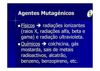 Agentes Mutagénicos

 Físicos    radiações ionizantes
 (raios X, radiações alfa, beta e
 gama) e radiação ultravioleta.
 Químicos      colchicina, gás
 mostarda, sais de metais
 radioactivos, alcatrão,
 benzeno, benzopireno, etc.
 