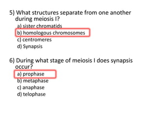 Two daughter cells are formed with each daughter containing only one chromosome of the homologous pair.Interkinesis (a short period of interphase) then follow telophase I.DNA replication does not take place during interkinesis. MEIOSIS I: Telophase I 