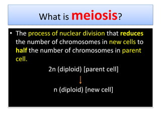 What is meiosis?The process of nuclear division that reduces the number of chromosomes in new cells to half the number of chromosomes in parent cell.	2n (diploid) [parent cell]	n (diploid) [new cell]