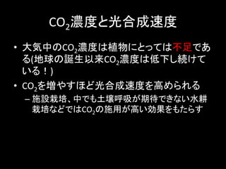CO2Ȥȹϳٶ	
?? ФCO2ȤֲˤȤäƤϲǤ
   (QCO2Ȥϵ¤A
   룡)	
 ?
?? CO2򉈤䤹ۤɹϳٶȤߤ	
 ?
 C? ʩOࡢФǤڴǤʤˮ
    ʤɤǤCO2ʩäߤ⤿餹	
 ?
 