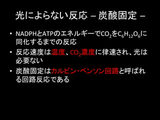ˤʤ 	
 ?̶̿ 	
 ?	
 ?	
?? NADPHATPΥͥ륮`CO2C6H12O6
   ͬޤǤη	
 ?
?? ٶȤ¶ȡCO2Ȥ٤졢
   Ҫʤ	
 ?
?? ̶̿ϥӥ?٥󥽥·ȺФ
   ·Ǥ	
 