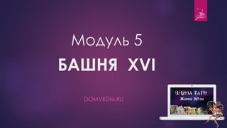 Модуль 5
БАШНЯ XVI
DOMVEDM.RU
 