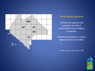 Diversidad gamma 
Número de especies del conjunto de sitios o comunidades que integran 
un paisaje. 
Número de especies a escala regional (área de estudio). 
(HalffteryMoreno, 2005; Koleff, 2005) 
γ= 6  
