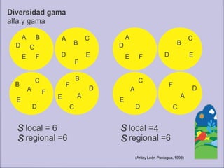 (AritayLeón-Paniagua, 1993)  