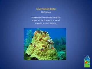 Diversidad beta 
Definición 
Diferencia o recambio entre las 
especies de dos puntos, en el 
espacio o en el tiempo.  