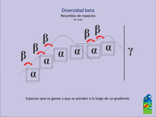 Diversidad beta 
Recambio de especies 
M. Cody 
Especies que se ganan y que se pierden a lo largo de un gradiente.  