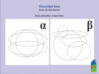 Diversidad beta 
Áreas de distribución 
Áreas pequeñas, mayor beta.  