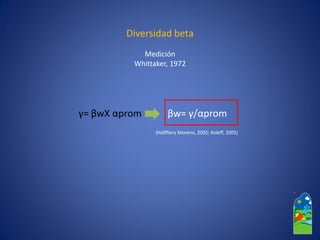 Diversidad beta 
Medición 
Whittaker, 1972 
γ= βwXαprom 
(HalffteryMoreno, 2005; Koleff, 2005) 
βw= γ/αprom  
