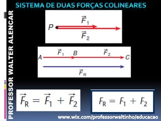PROFESSOR WALTER ALENCAR
 