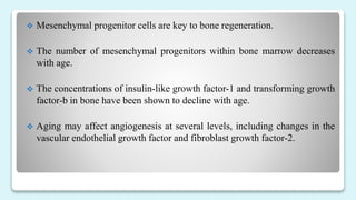  Mesenchymal progenitor cells are key to bone regeneration.
 The number of mesenchymal progenitors within bone marrow decreases
with age.
 The concentrations of insulin-like growth factor-1 and transforming growth
factor-b in bone have been shown to decline with age.
 Aging may affect angiogenesis at several levels, including changes in the
vascular endothelial growth factor and fibroblast growth factor-2.
 