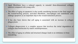  Aged fibroblasts have a reduced capacity to remodel three-dimensional collagen
matrices compared with young cells.
 The effect of aging on apoptosis is also worth considering because in the final stages of
the wound-healing process, activated fibroblasts, macrophages and endothelial cells
undergo apoptosis as an important step in the wound maturation process.
 It has also been shown that cell aging is associated with an increase in collagen
phagocytosis.
 Collagen phagocytosis is a complex process that involves the initial degradation of
collagen macromolecules by matrix metalloproteases.
 The effect of aging on cellular and structural changes leads to an imbalance in bone
remodeling.
 