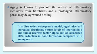  Aging is known to promote the release of inflammatory
mediators from fibroblasts and a prolonged inflammatory
phase may delay wound healing.
In a distraction osteogenesis model, aged mice had
increased circulating serum levels of interleukin-6
and tumor necrosis factor-alpha and an associated
60% reduction in bone formation compared with
young mice.
 