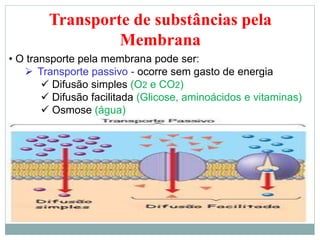 Transporte de substâncias pela
Membrana
• O transporte pela membrana pode ser:
 Transporte passivo - ocorre sem gasto de energia
 Difusão simples (O2 e CO2)
 Difusão facilitada (Glicose, aminoácidos e vitaminas)
 Osmose (água)
 