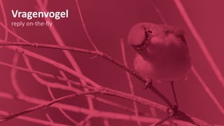 Vragenvogel
reply on-the-fly
 